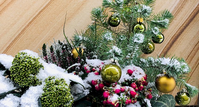 Weihnachtspost mundumgesund Zahnärzte