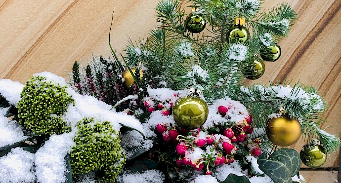 Weihnachtspost mundumgesund Zahnärzte